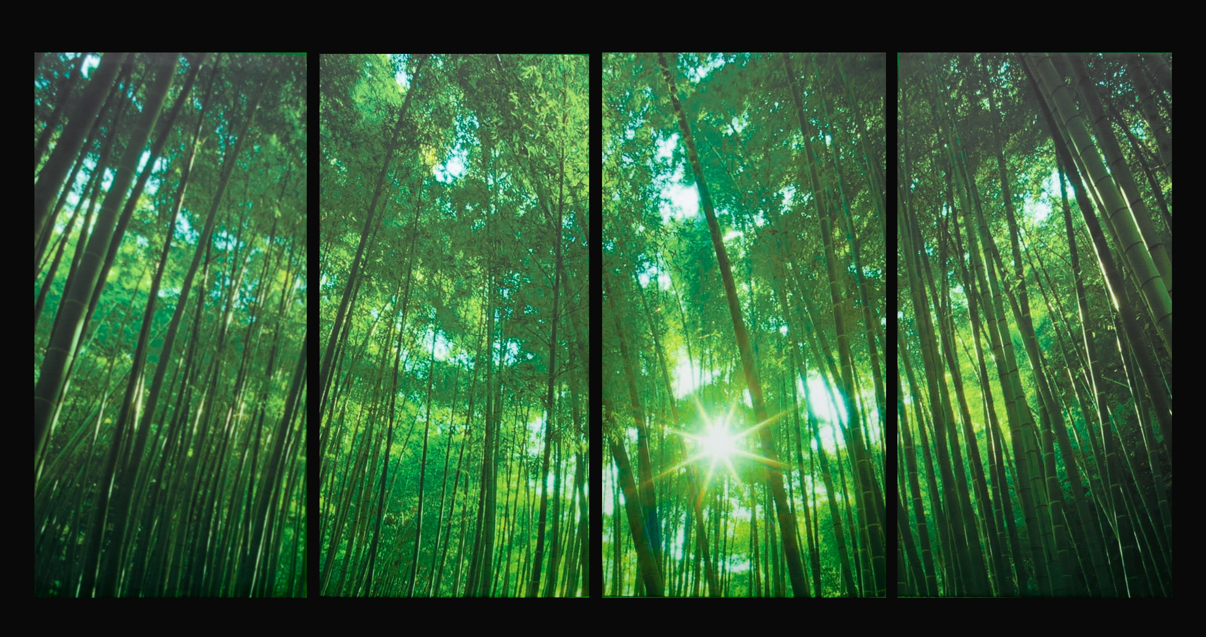 4 Panel Bamboo Forest Digital Print